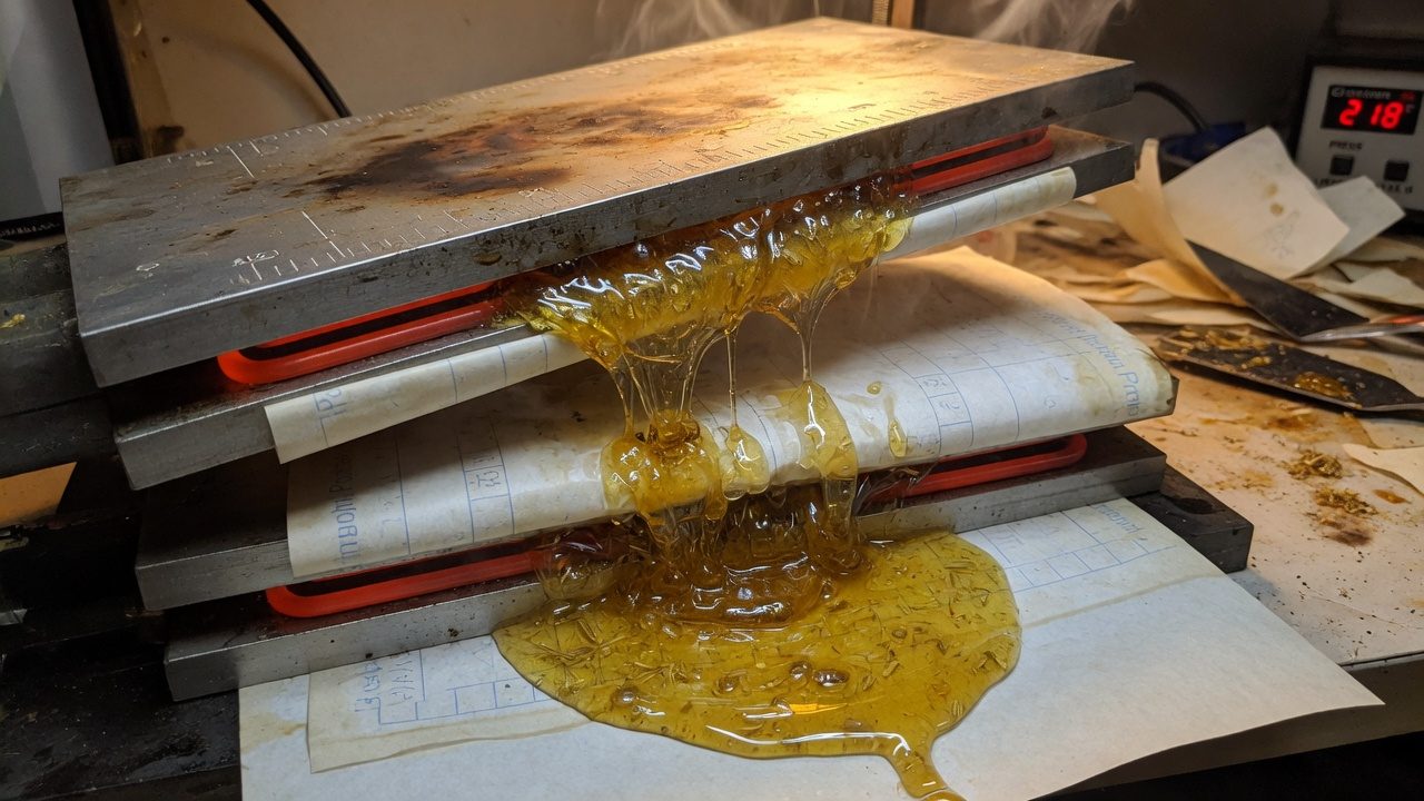 Rosin with a gold color that flows from a press onto parchment